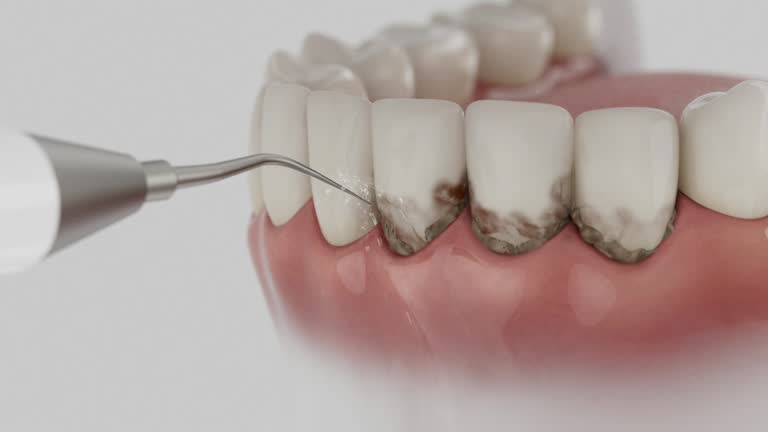 Reliable Dental contractor in King William County County, VA by Dentist Open Now